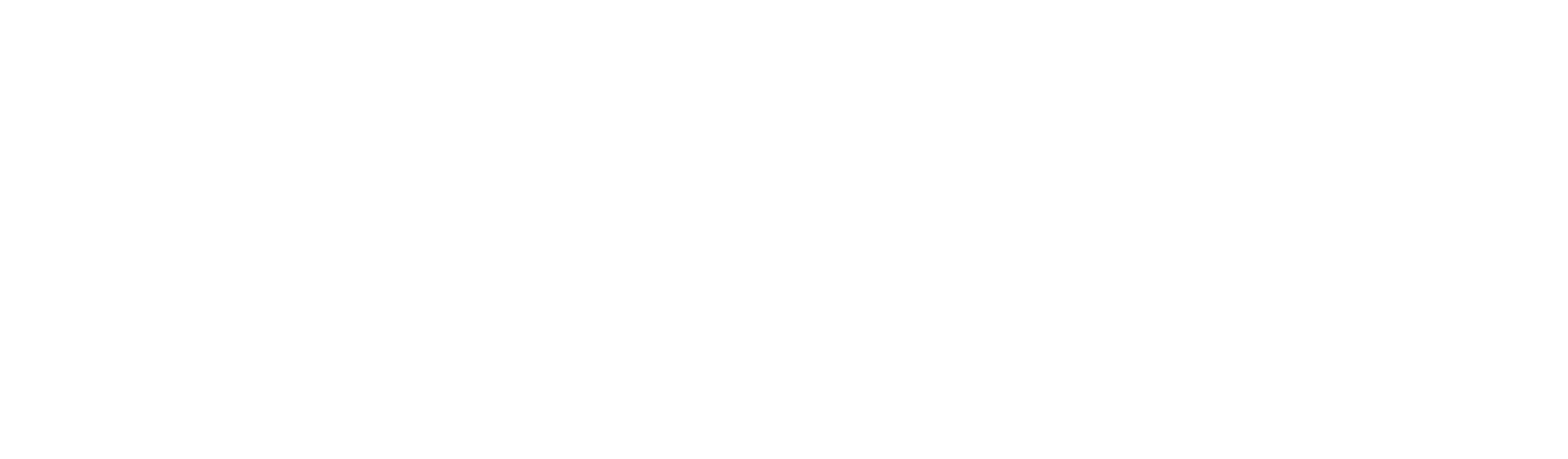 Snuckworks Platforms